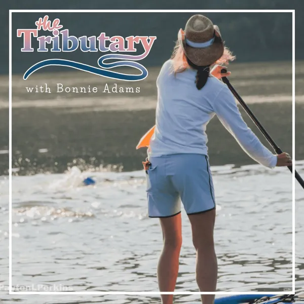 Cover art: The Tributary