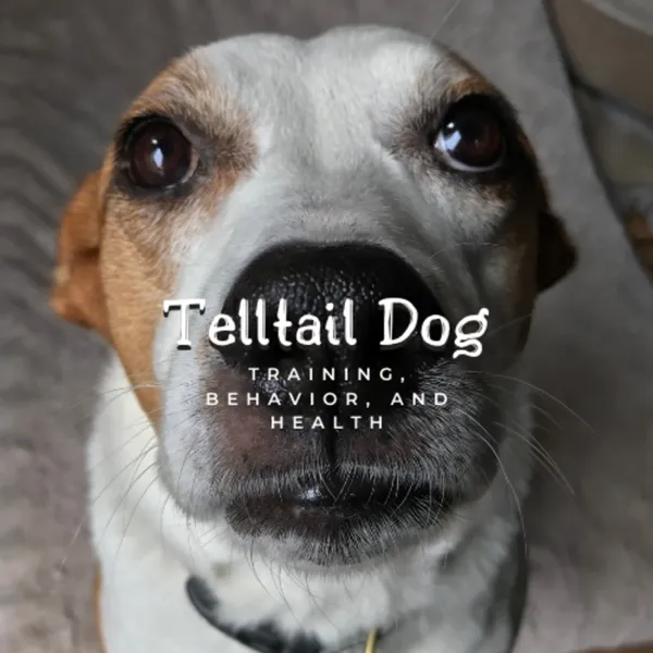 Cover art: Telltail Dog