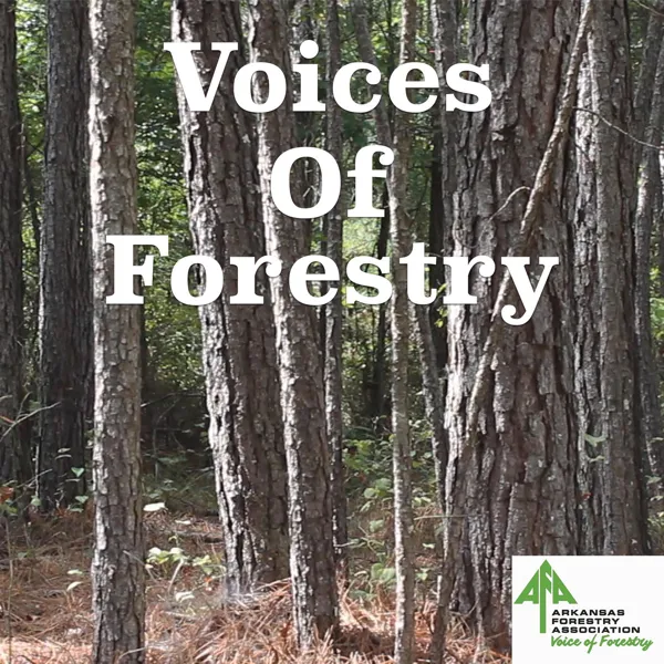 Cover art: Voices of Forestry